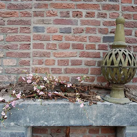 לינה וארוחת בוקר Verdesud