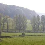 Bed & Breakfast Verdesud